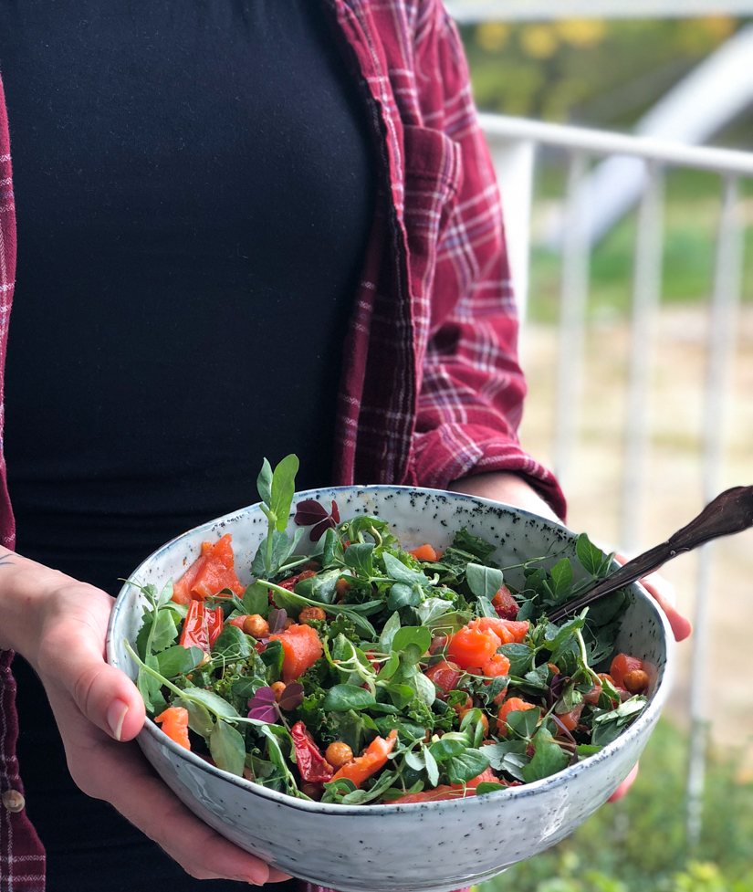 salat med laks salat med laks