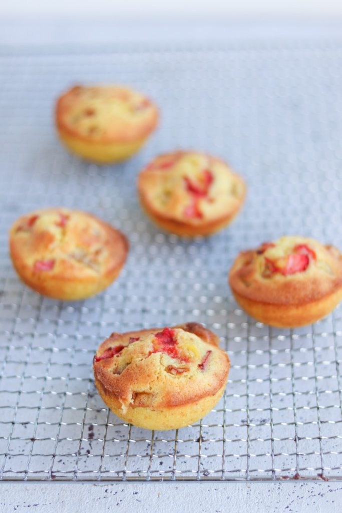 Rabarbermuffins