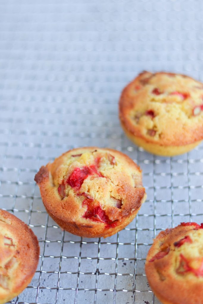 Rabarbermuffins
