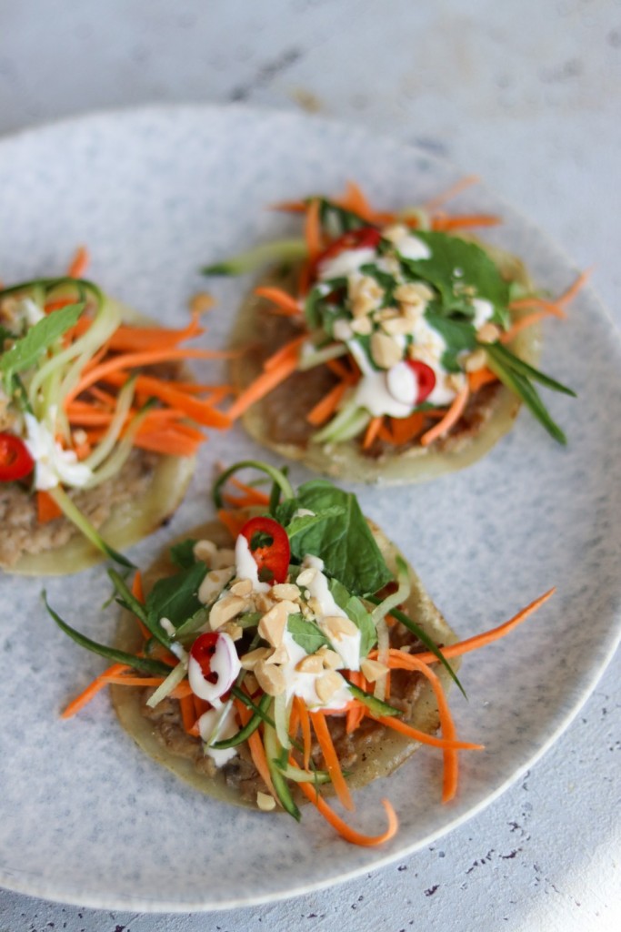 Sprøde stegte dumplings