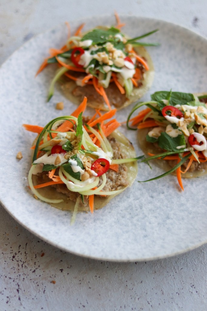 Sprøde stegte dumplings