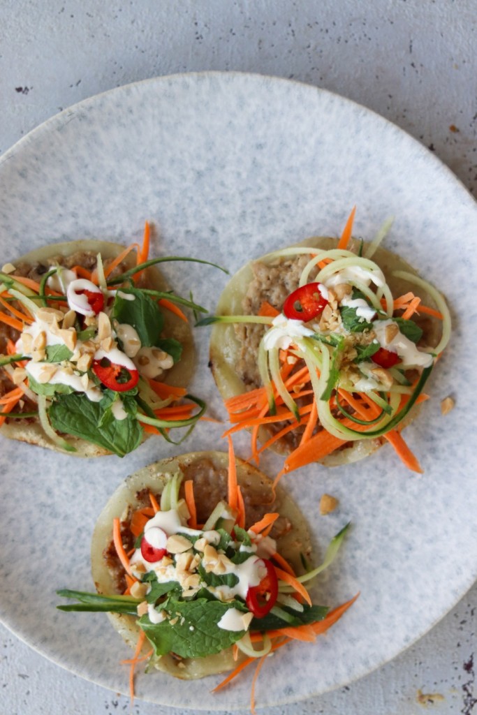 Sprøde stegte dumplings